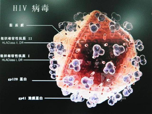 阳谷最新病毒，自然美景中的探索与挑战