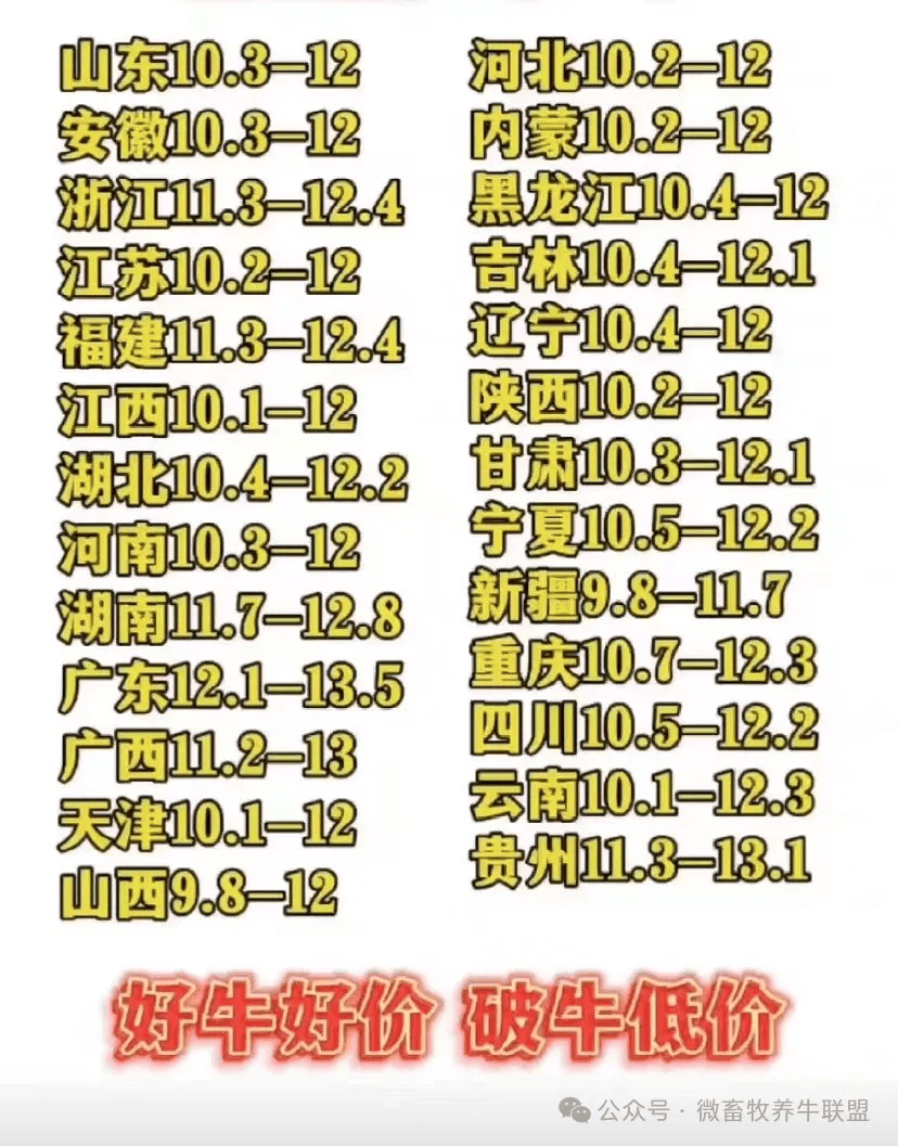 鹅最新鹅价全程指南，从了解鹅价到购买鹅的完整步骤